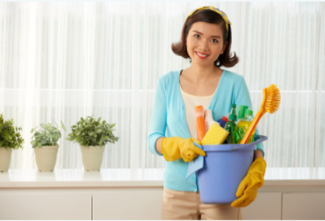 regular house services