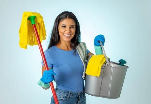regular house services
